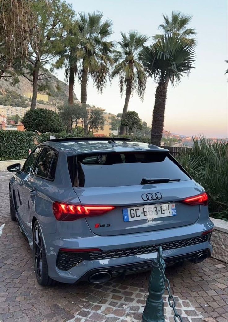 Grey Audi RS3 parked in a scenic area with palm trees and a distant mountain view.